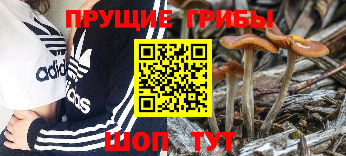 Псилоцибиновые грибы мухоморы  Вход с VPN  Лабытнанги 