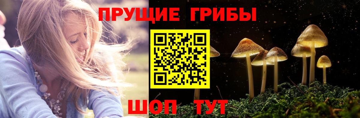 Галлюциногенные грибы Cubensis Лабытнанги